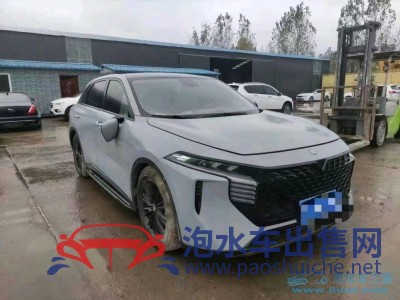 22年啟辰啟辰晨風(fēng)SUV