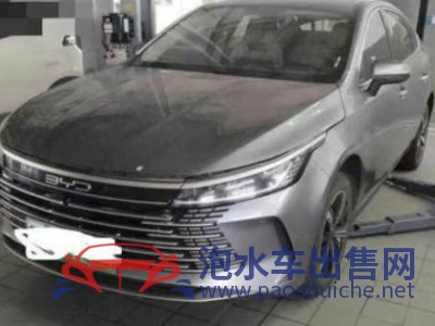 24年比亞迪驅(qū)逐艦中型車(chē)